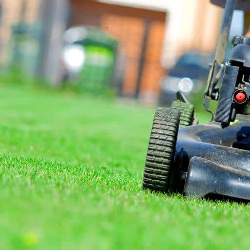 Top 5 Lawn Care Tips for Maintaining a Lush Lawn in Spring Hill, FL