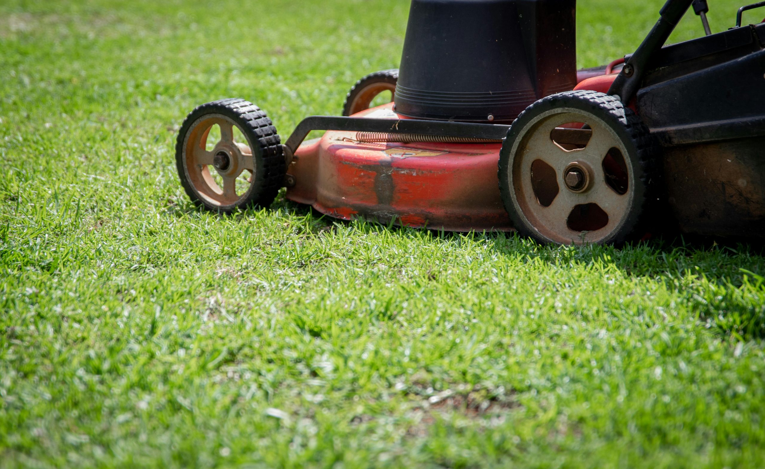 Sustainable Lawn Care Starts with the Clippings
